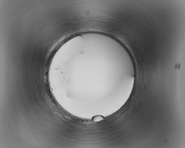 X0000110900395200907301611