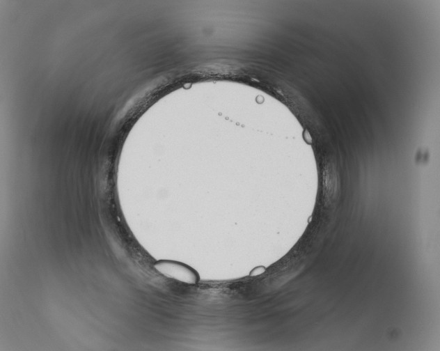 X0000110900396200907301611