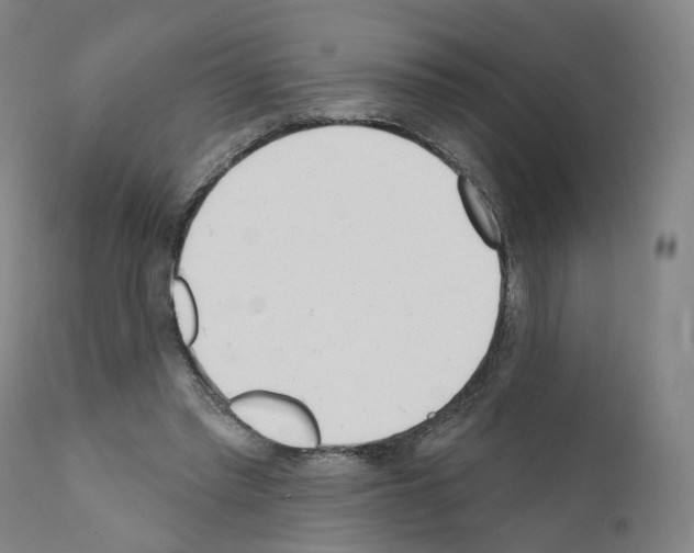 X0000110900397200907301611