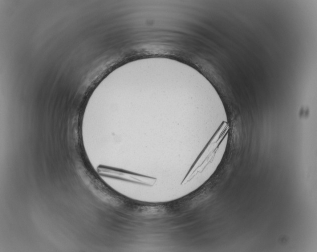 X0000110900398200907301611