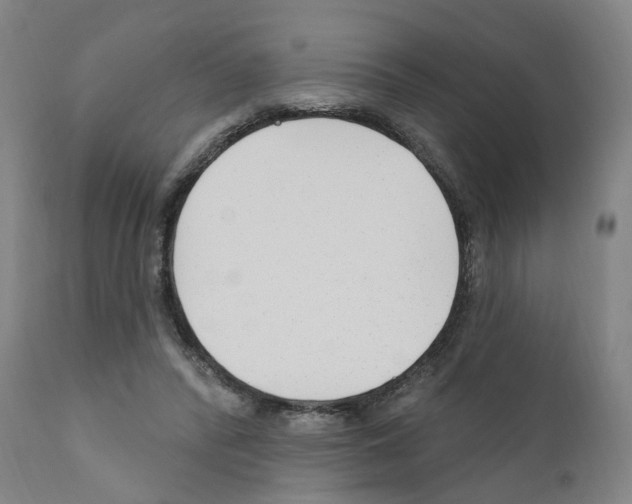 X0000110900400200907301611