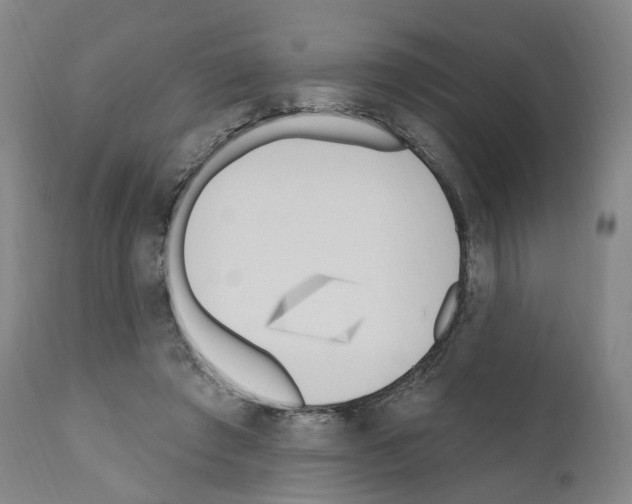 X0000110900401200907301611