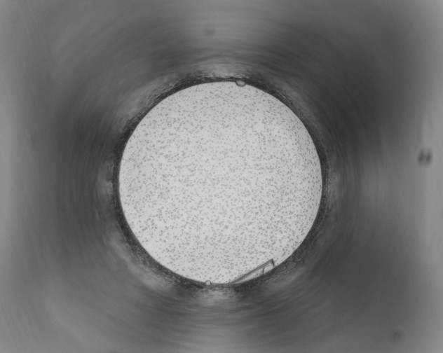 X0000110900402200907301611