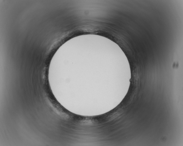 X0000110900404200907301611