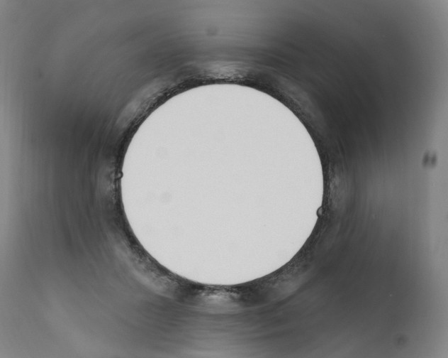 X0000110900407200907301611