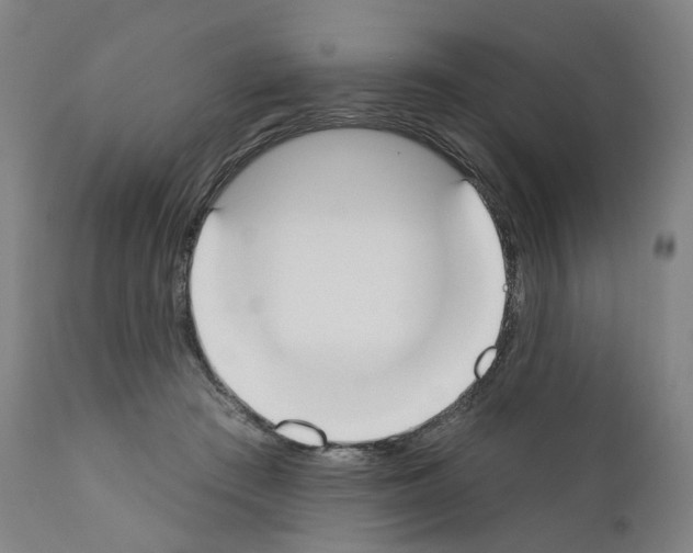 X0000110900409200907301611