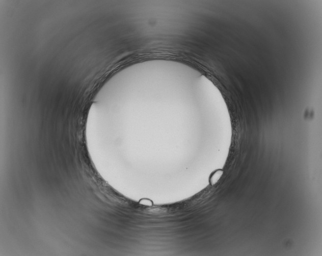 X0000110900413200907301611