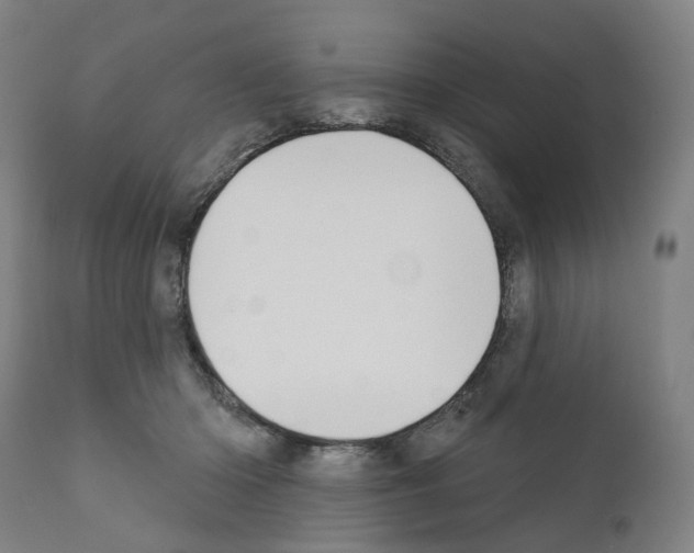 X0000110900414200907301611