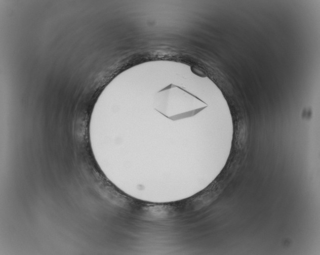 X0000110900417200907301611