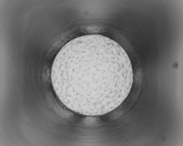 X0000110900418200907301611