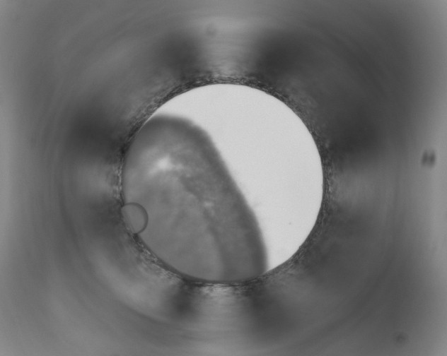 X0000110900419200907301611