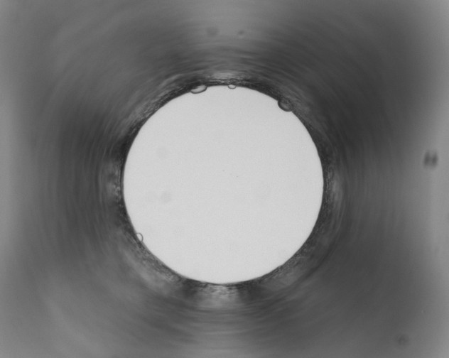 X0000110900421200907301611