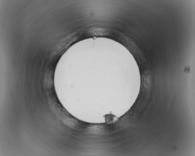 X0000110900422200907301611