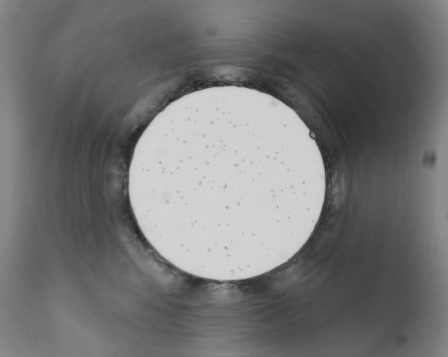 X0000110900424200907301611