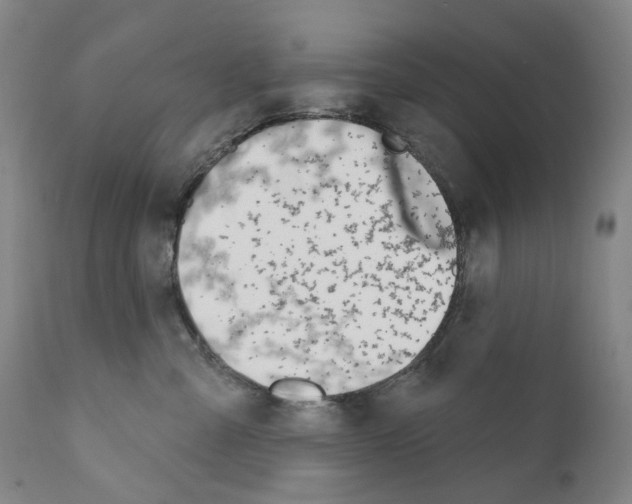 X0000110900427200907301611