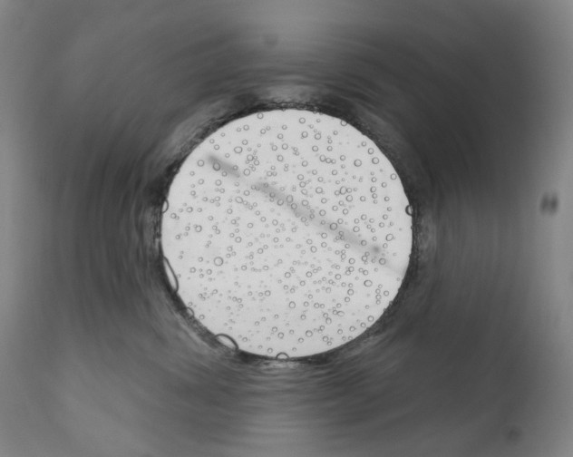 X0000110900428200907301611