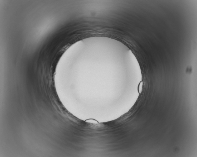 X0000110900429200907301611