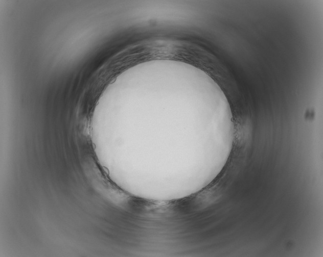 X0000110900431200907301610