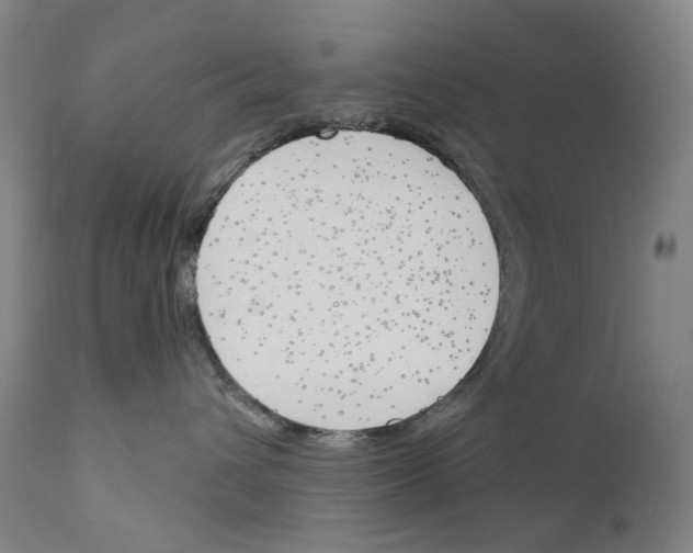 X0000110900432200907301610