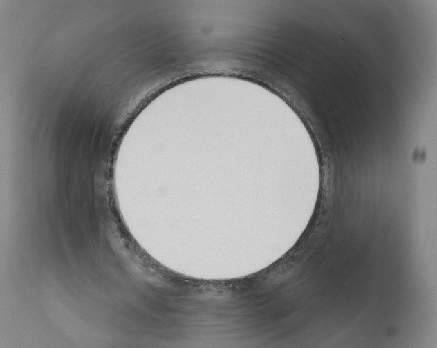 X0000110900434200907301610