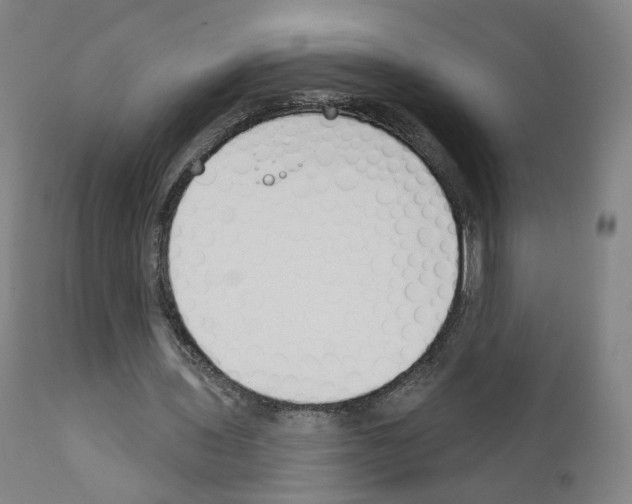 X0000110900435200907301610