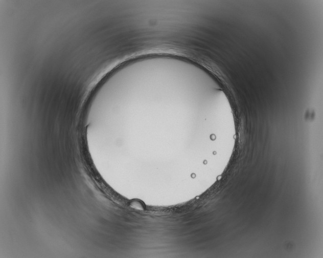 X0000110900436200907301610