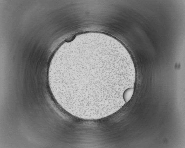 X0000110900437200907301610