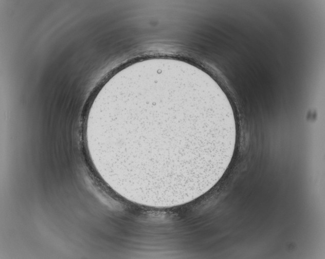 X0000110900439200907301610