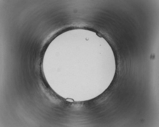 X0000110900440200907301610