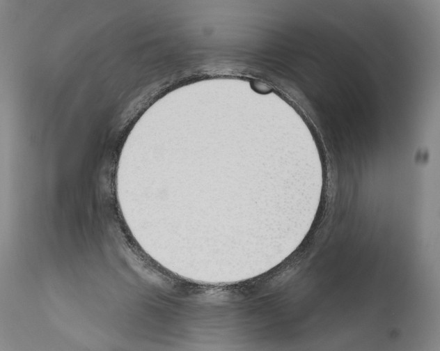 X0000110900441200907301610