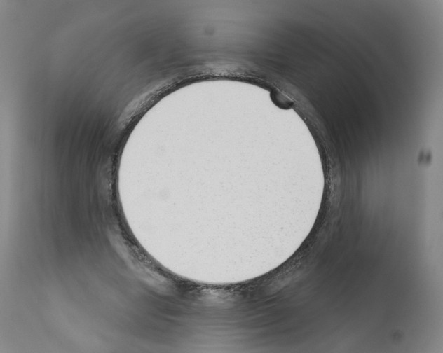 X0000110900442200907301610