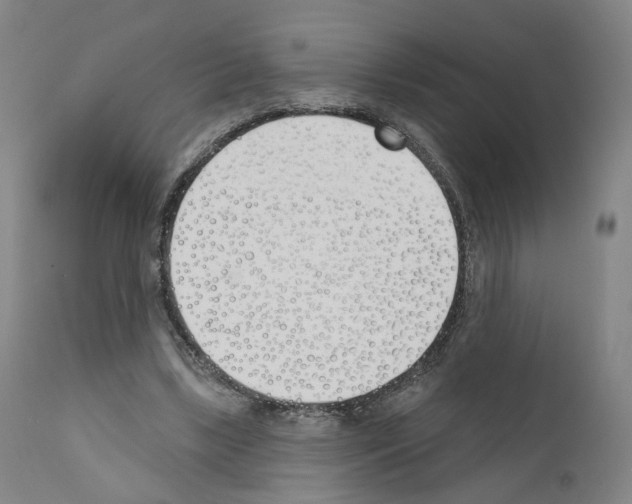 X0000110900443200907301610