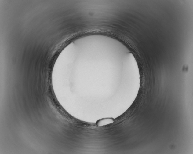 X0000110900444200907301610