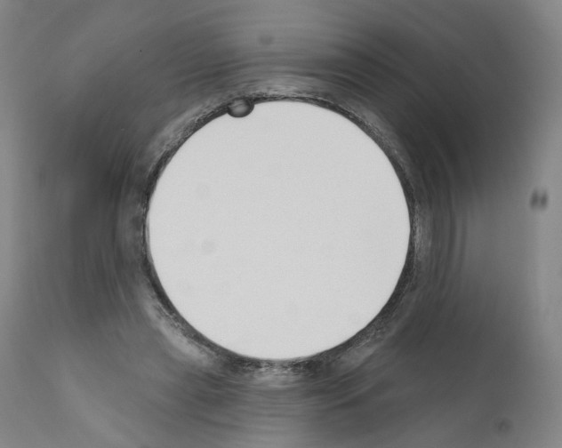 X0000110900445200907301610