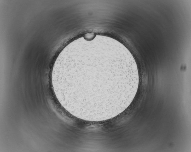 X0000110900447200907301610