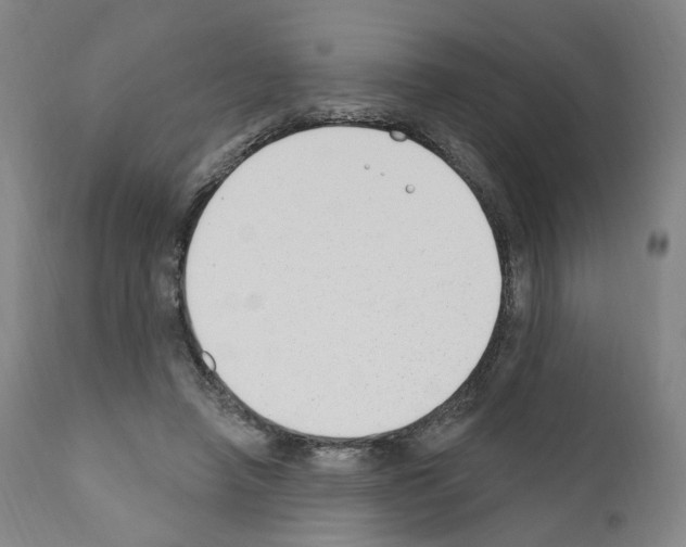 X0000110900450200907301610