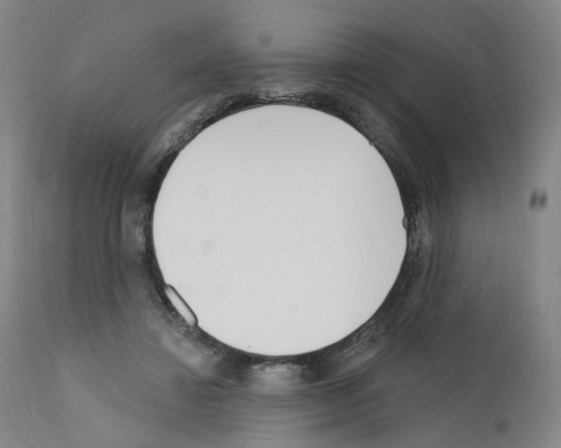 X0000110900452200907301610