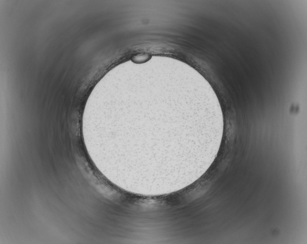 X0000110900453200907301610