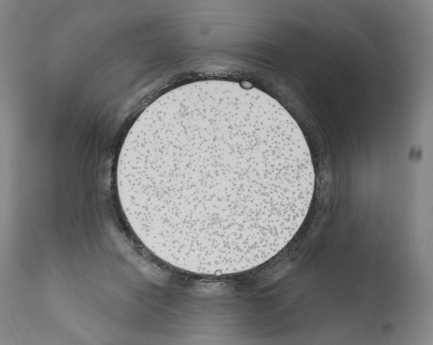 X0000110900454200907301610