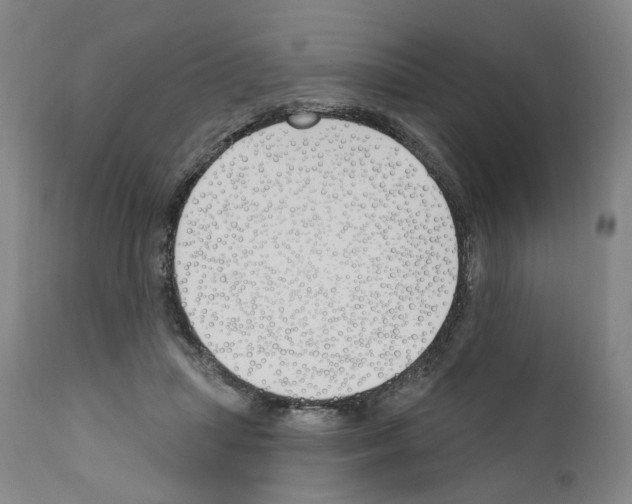 X0000110900455200907301610