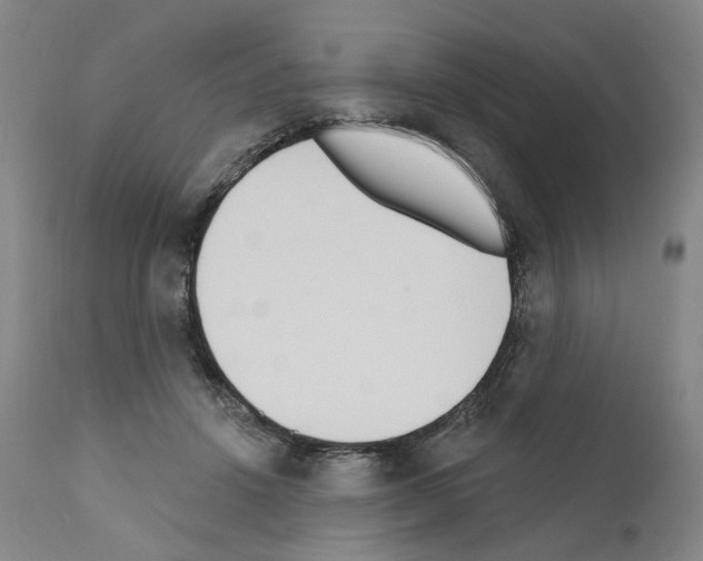 X0000110900456200907301610