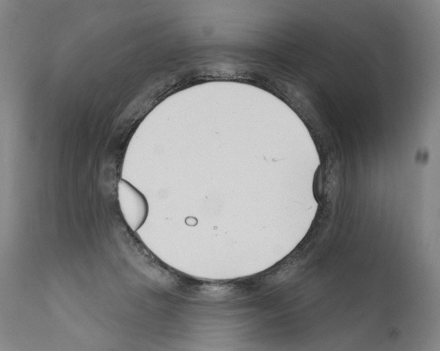 X0000110900457200907301610