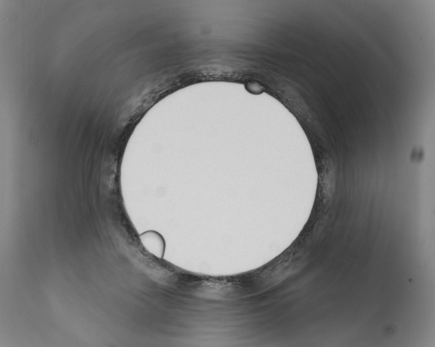 X0000110900458200907301610