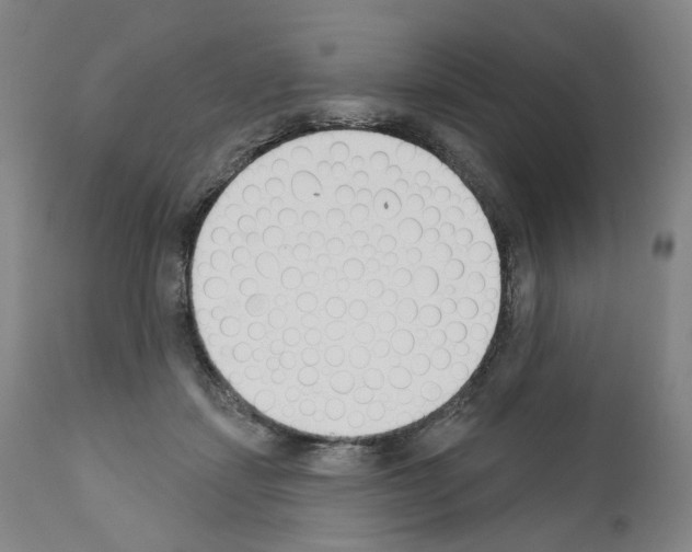 X0000110900459200907301610