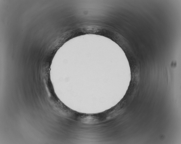 X0000110900460200907301610