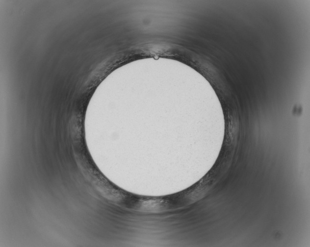 X0000110900461200907301610