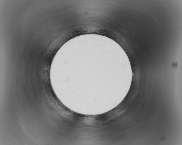 X0000110900462200907301610