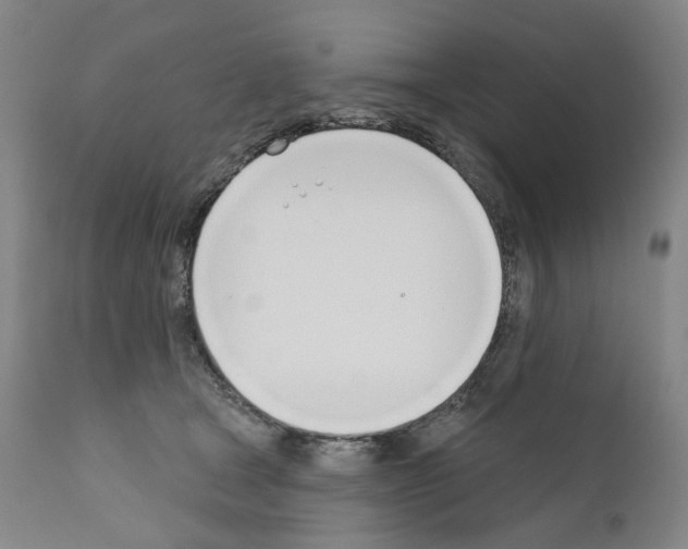 X0000110900465200907301610