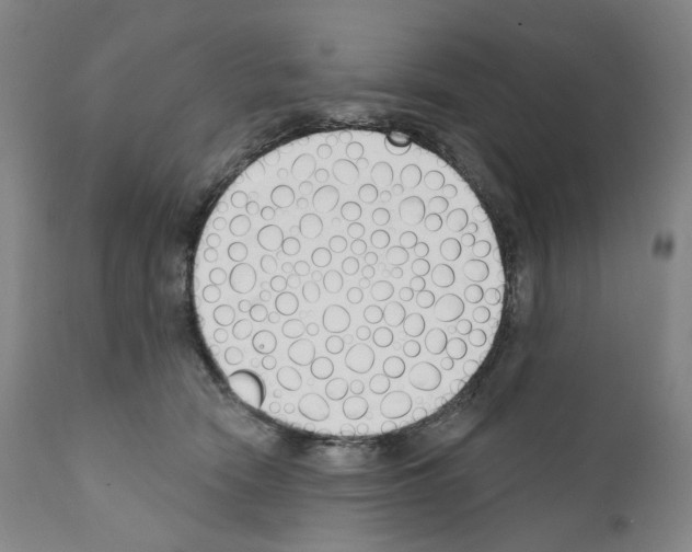 X0000110900466200907301610