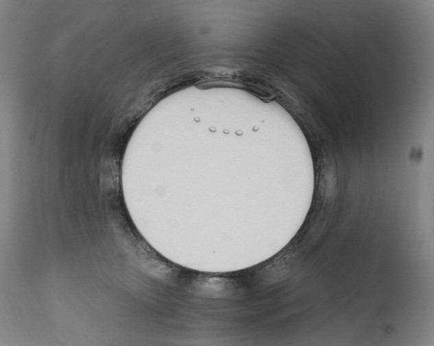 X0000110900467200907301610